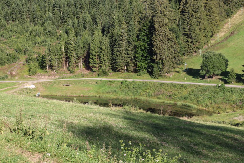 Na pozemcích farmy je několik pramenů včetně Volyňky, která je zdrojem pitné vody pro Vimperk. Ekologické hospodaření vodní toky nijak neohrožují 