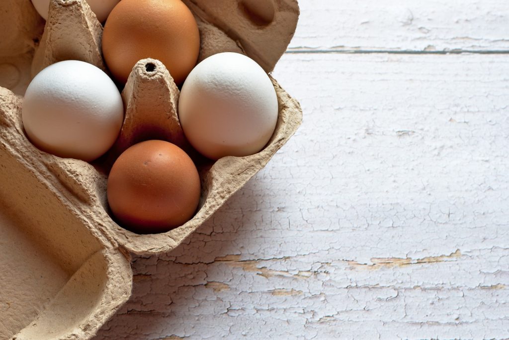 Vědci mimo jiné zkoumali i parametry snesených vajec