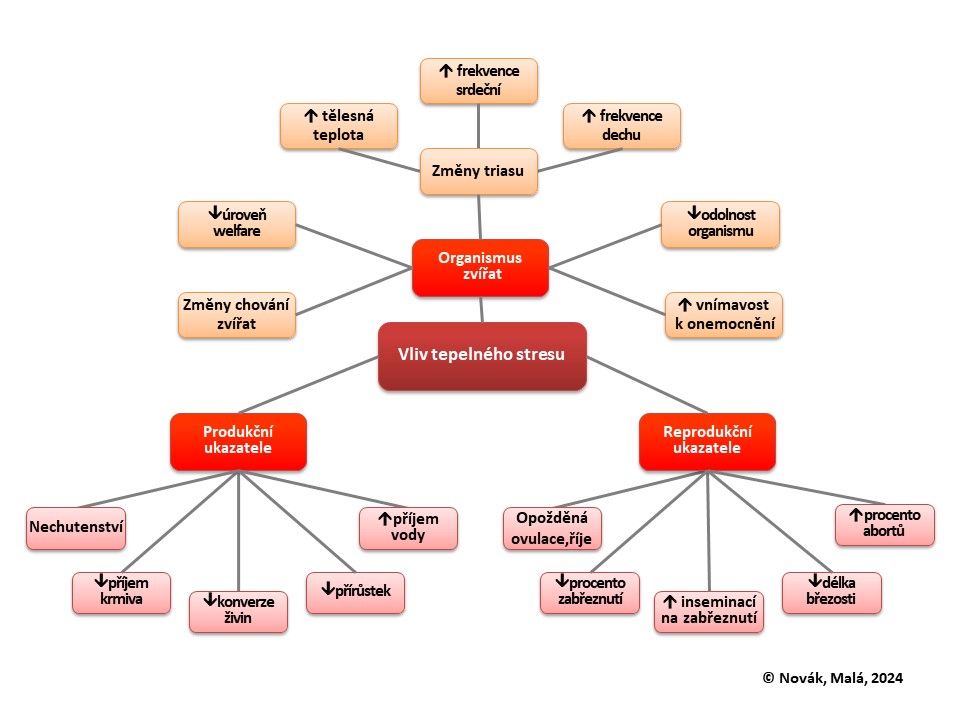 Vliv tepelného stresu na hospodářská zvířata