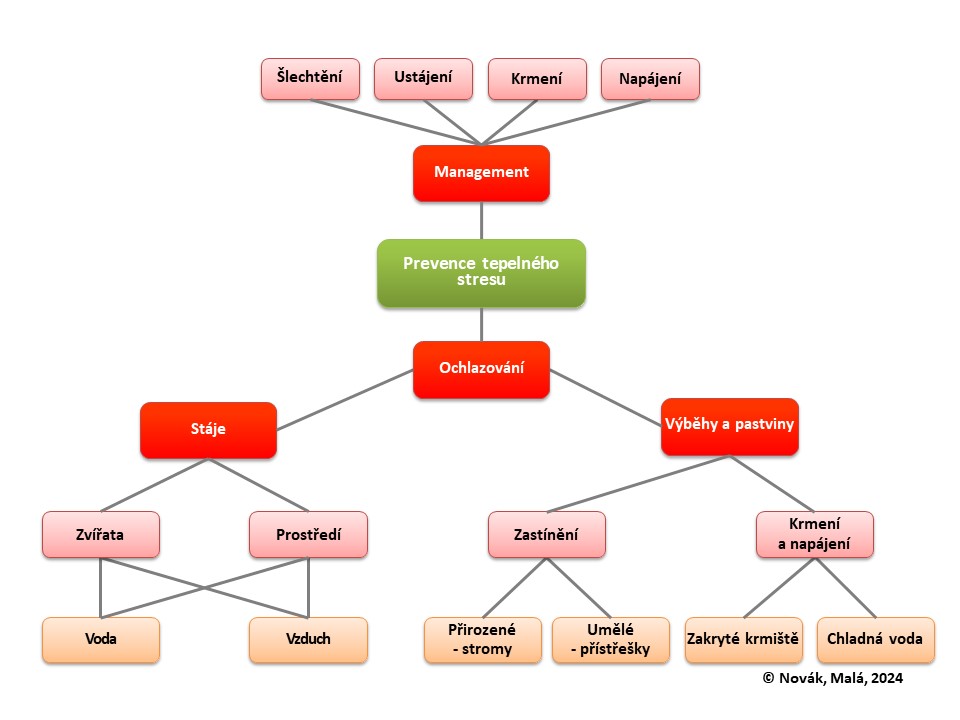 Preventivní opatření snižující negativní vliv tepelného stresu