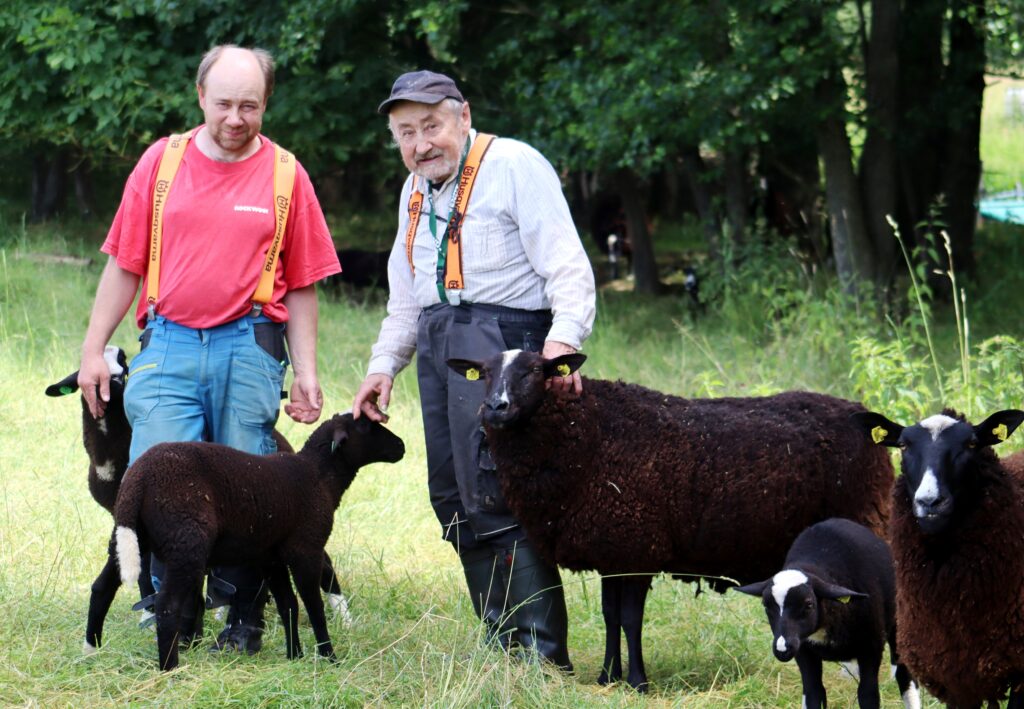 Oldřichu  Kockovi pomáhá s ovečkami tatínek