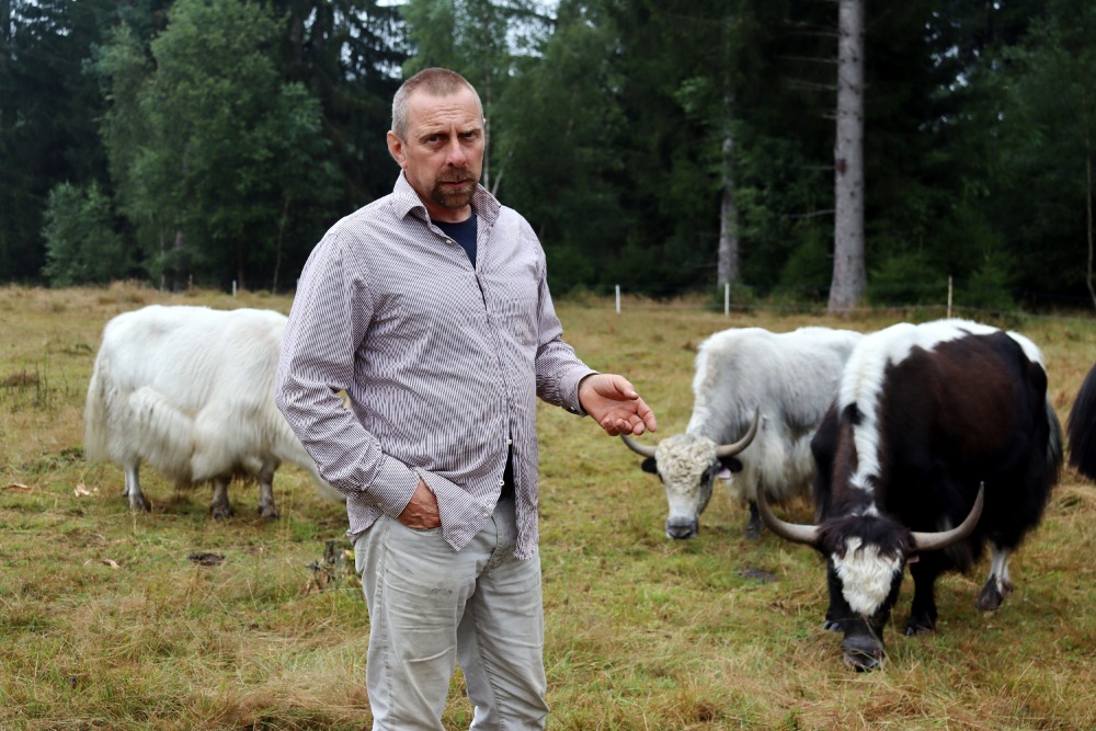 „Víme, co jakům vyhovuje a rovina bez vegetačního krytu je to poslední, co by vyhledávali,“ říká František Groessl