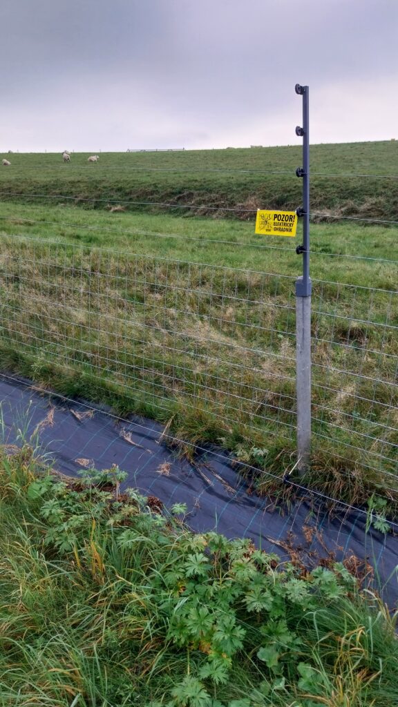 Pevné oplocení lze nastavit i elektrickými lanky. Na zem je dobré položit plastovou fólii, aby plotem neprorůstala tráva. Před plot se proti podhrabání natáhne předsunuté elektrické lanko