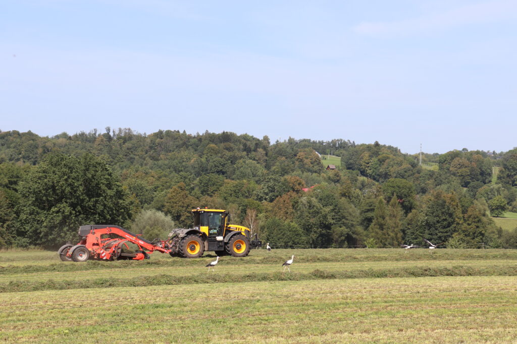 V podniku jsou hojně využívány traktory značky JCB, zde pomáhají při sklizni senáže v lokalitě s extrémním výskytem čápů