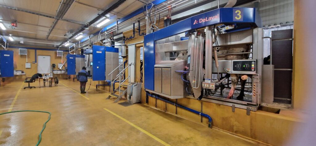 Získávání mléka musí v každém případě splňovat hygienické standardy