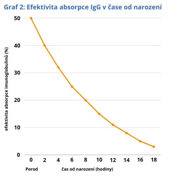 Efektivita absorpce IgG v čase od narození