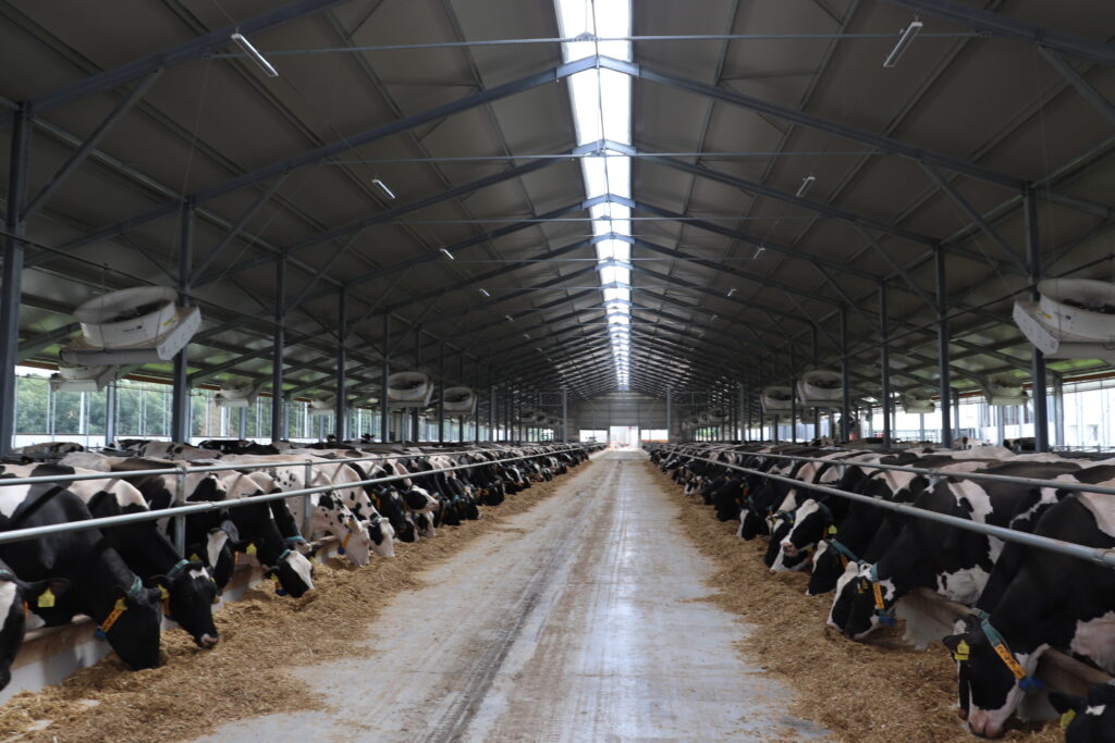 Na farmě Chrastiny přítomní viděli ukázkové umístění a nastavení ventilátorů, které jsou namířeny do životní zóny zvířat