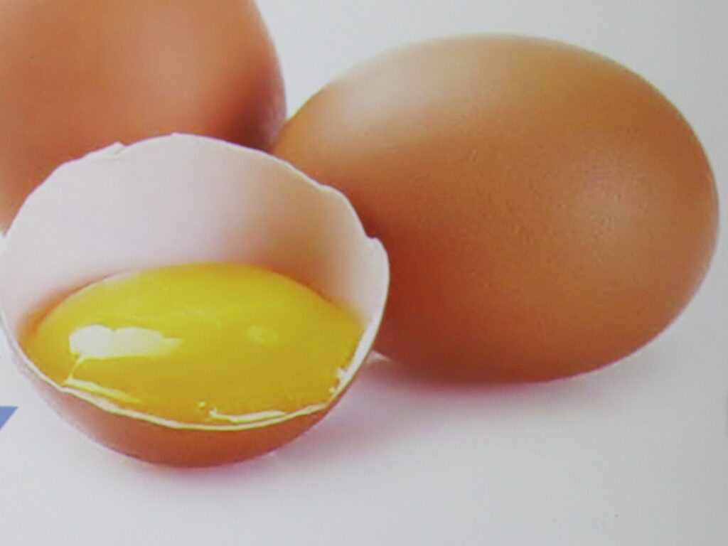 Vejce je nejlevnějším zdrojem kvalitních bílkovin