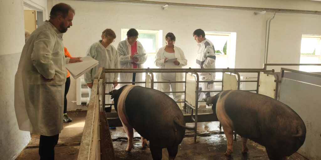 Hodnocení  provedla komise složená ze zástupců firmy Chovservis, a. s., Hradec Králové a Svazu chovatelů prasat, z. s.