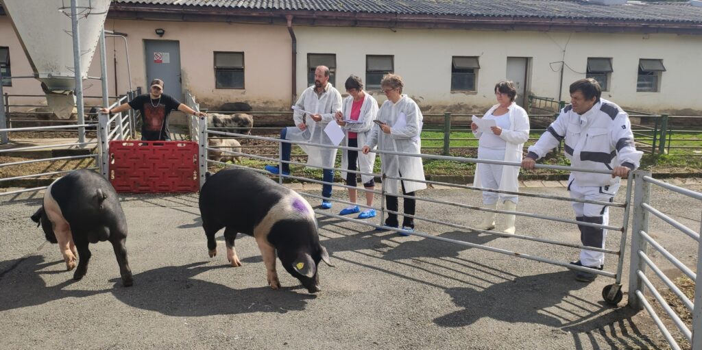 Komise pozitivně hodnotila zejména udržení reprodukčních parametrů chovu a zlepšení celkové kondice zvířat