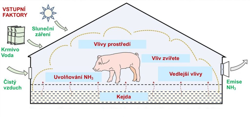 Faktory ovlivňující emise amoniaku z ustájení prasat