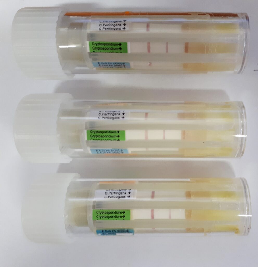 Screeningový test pro stanovení původců průjmů