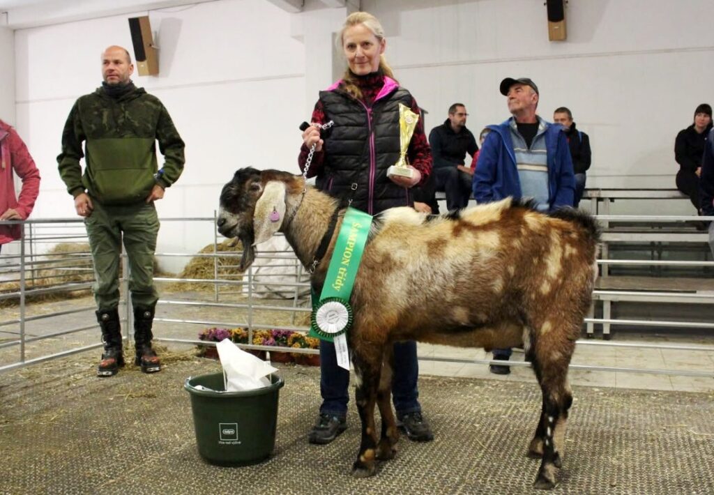 Vítězem kategorie kozlů ve věku od 12 do 24 měsíců se stal Jorgos z Modletic