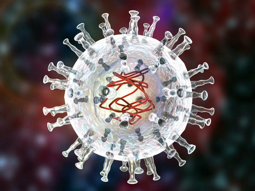 Virus afrického moru prasat je komplexní DNA virus