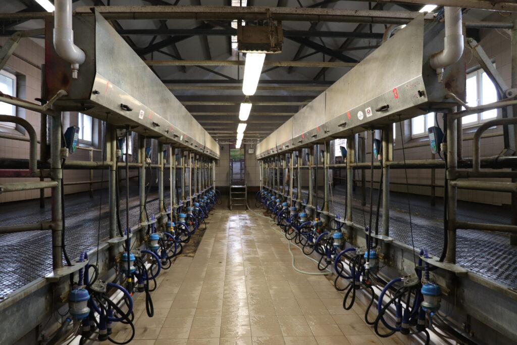 Při práci na dojírně je také nezbytná neměnnost a dodržování standardizovaných postupů. Mezi ně patří třeba i důkladné dipování