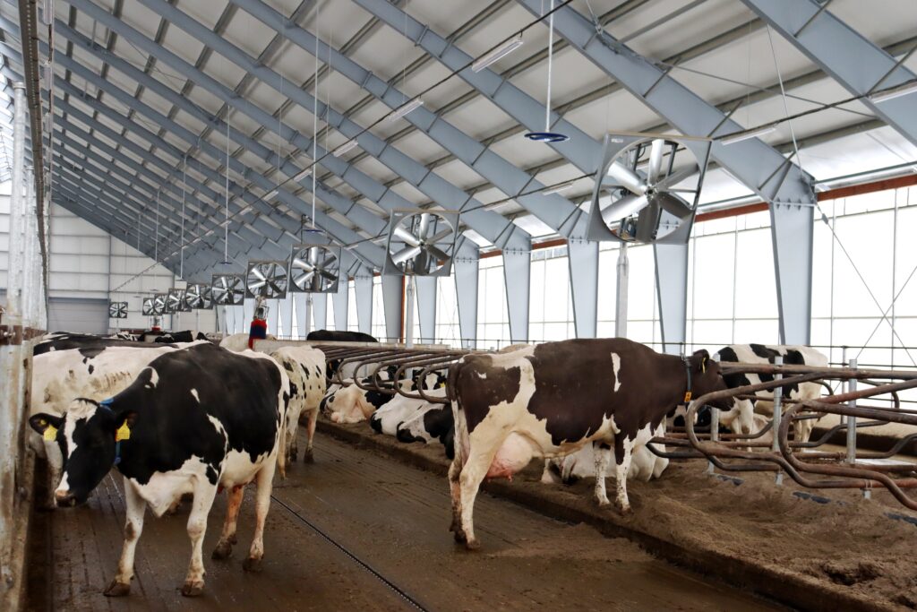 Nainstalované ventilátory jsou jedním z dílčích opatření minimalizující tepelný stres