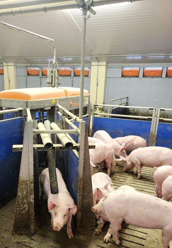 Automatické třídicí váhy TriSort na farmě Housina