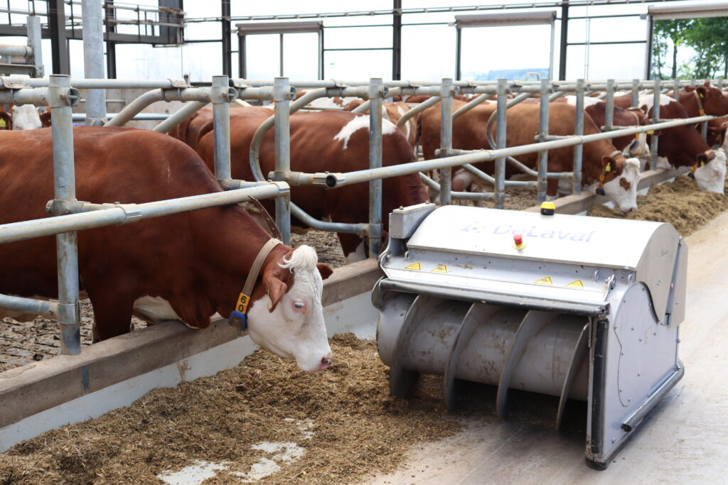 Kvalita objemných krmiv je jednou ze základních nezbytností pro úspěch v chovu skotu