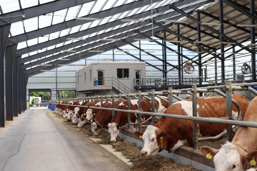 Optimalizace kvality píce přináší vyšší užitkovost i lepší zdravotní stav

