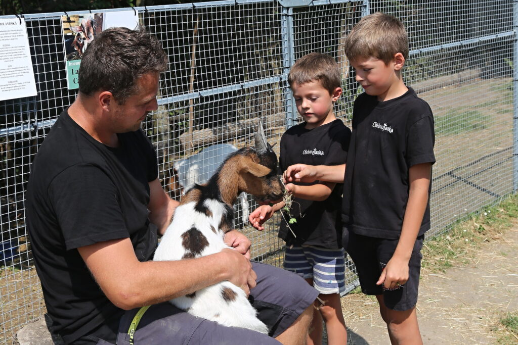 Součástí Chlebovjanky je i kontaktní farma – ohrádka s domácími zvířaty