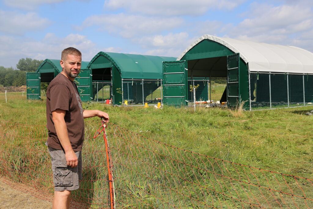 Na farmě je ročně vykrmeno čtyři tisíce kuřat, a to ve čtyřech turnusech vždy po tisícovce. Výkrm probíhá v posuvných halách, drůbež tak má každé dva až tři dny čerstvou pastvu 