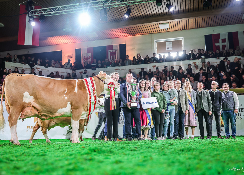 Titul šampiónky starších krav udělil Nikolas Sauter Kitty na čtvrté laktaci po otci Helsinki
