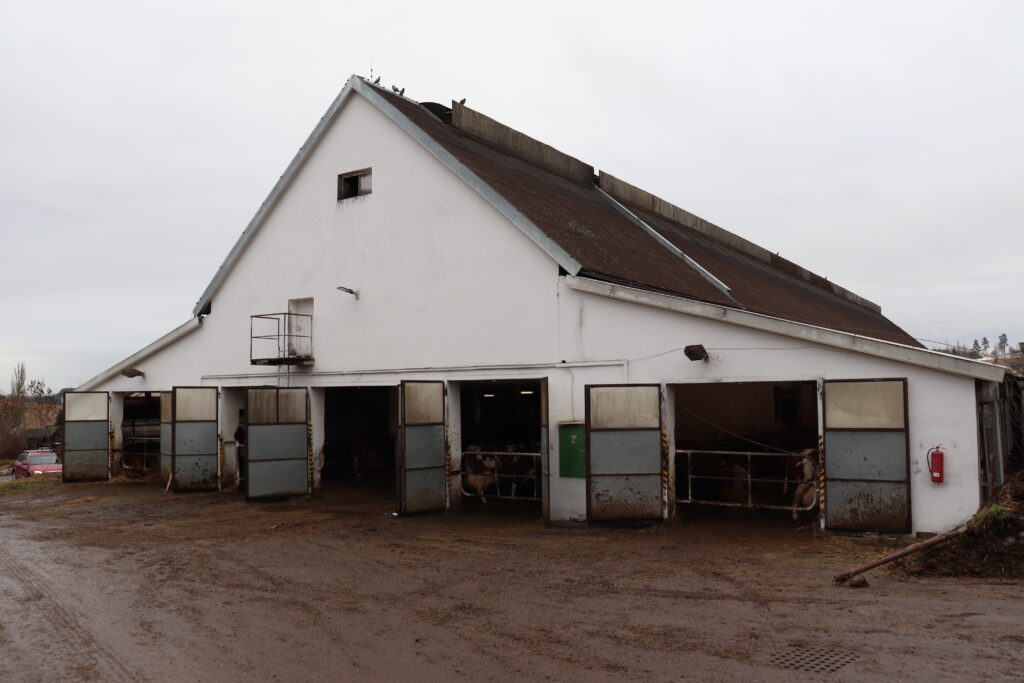 Ve středisku Zálesní Lhota mají krávy k dispozici netradičně uspořádanou stáj s kapacitou 243 míst. Ke starému kravínu K-96 se přistavěla dvě boční křídla, ve kterých jsou boxová lože. V původní stáji je krmiště. Plemenicím vyhovují i přede dvěma lety nainstalované ventilátory. Aktuálně probíhá montáž shrnovacích lopat na kejdu zajišťovaná společností BoviLine, které nahradí původní vyhrnování malou mechanizací