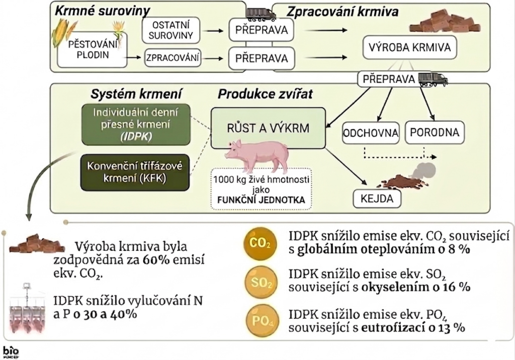 Model precizního a standardního krmení prasat (upraveno podle Liorens a kol.2024)