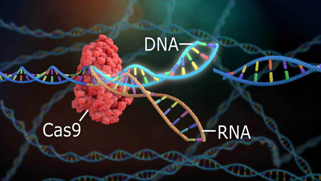 CRISPR/Cas9 poskytuje přesnou, efektivní a dostupnou metodu pro cílené genetické modifikace