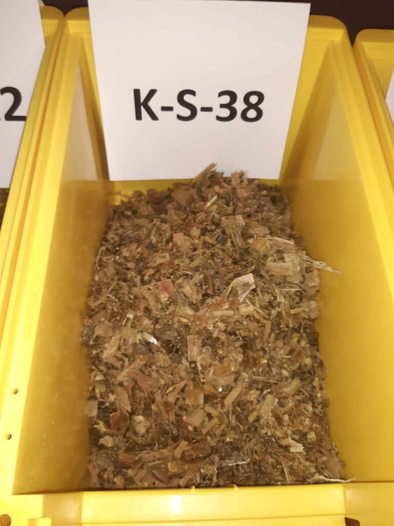 Vzorek kukuřičné siláže z organoleptického hodnocení v rámci Silážní ligy